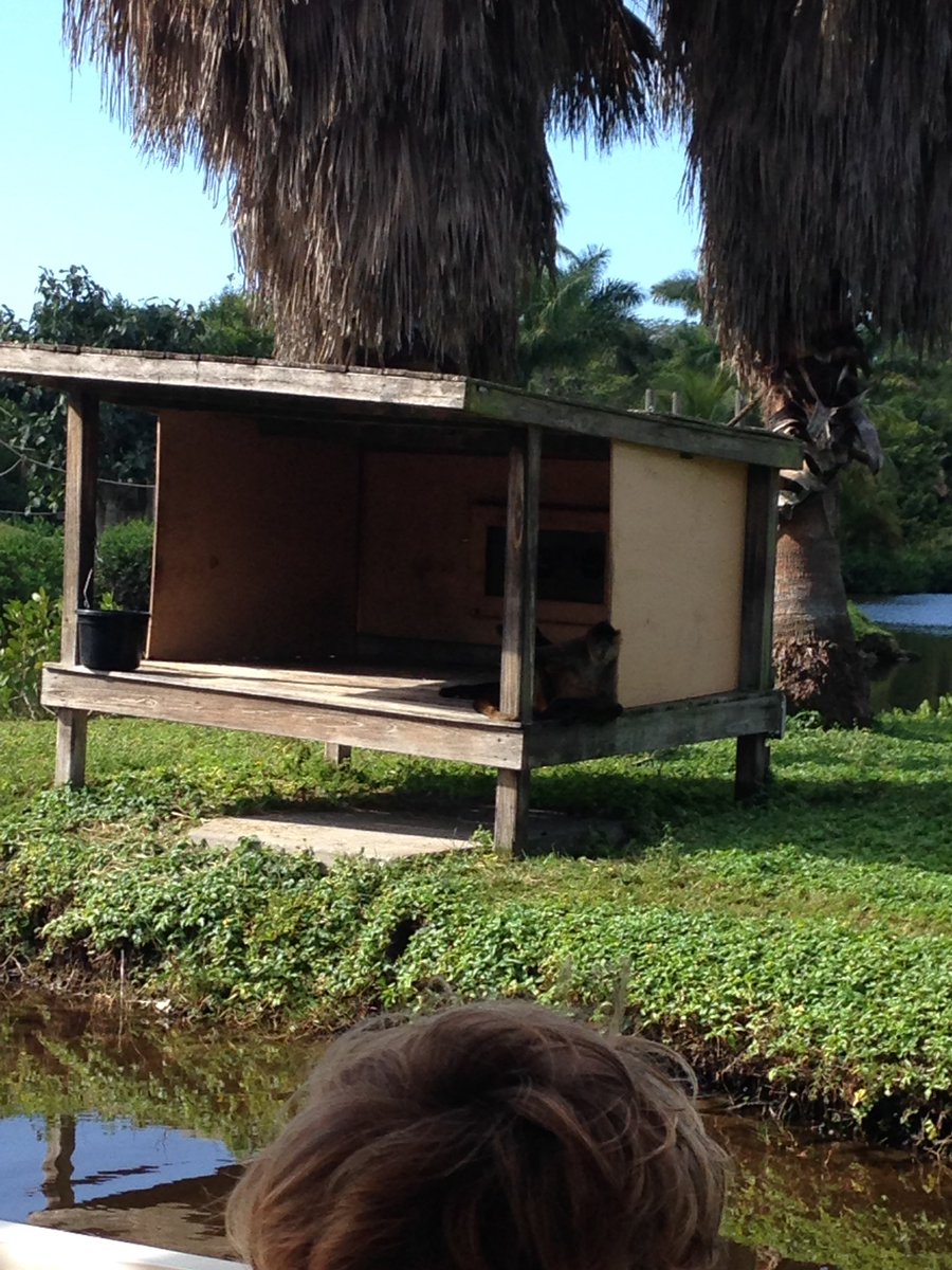 MsMeehan2000's tweet photo. Primate expedition! @VOEPanthers #ccpssuccess #ccpssteam #CollierScience #napleszoo https://t.co/Fh5YP5Zw4l