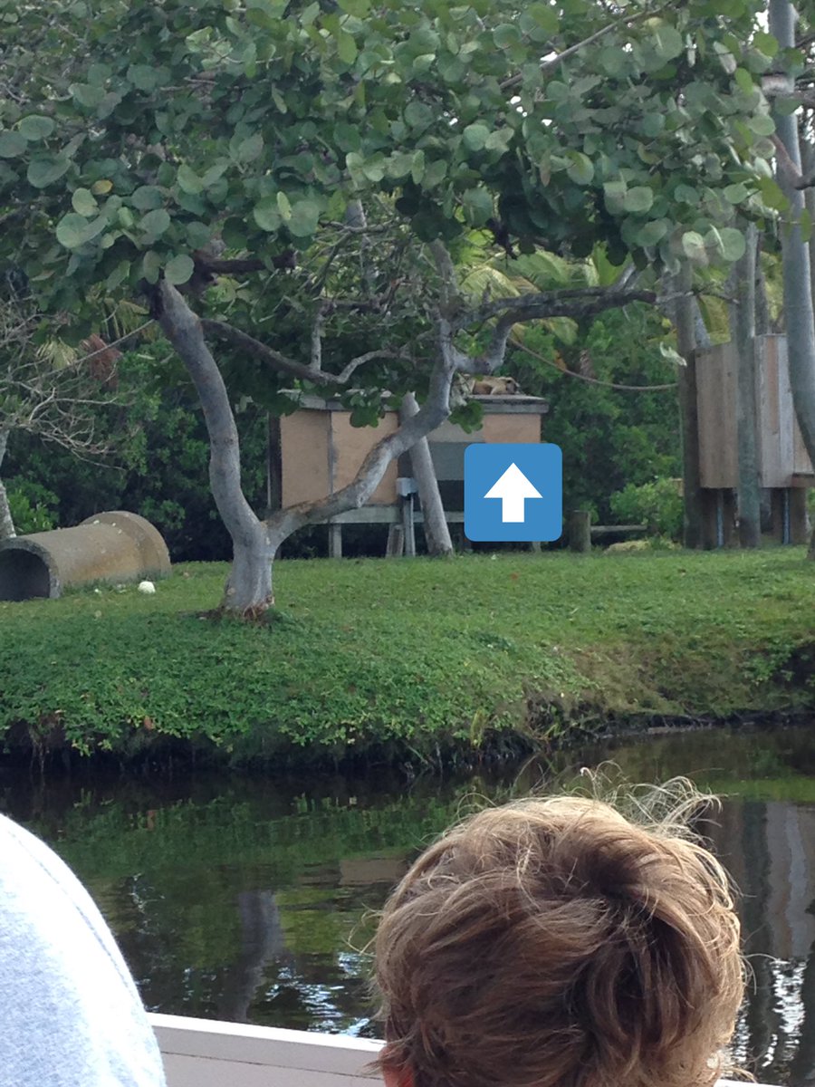MsMeehan2000's tweet photo. Primate expedition! @VOEPanthers #ccpssuccess #ccpssteam #CollierScience #napleszoo https://t.co/RsBaNmNpMA