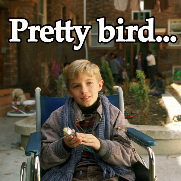BrookieLarsen's tweet photo. Found out @PaHEY1 is bird sitting for 3 months https://t.co/VaVdldEzu8