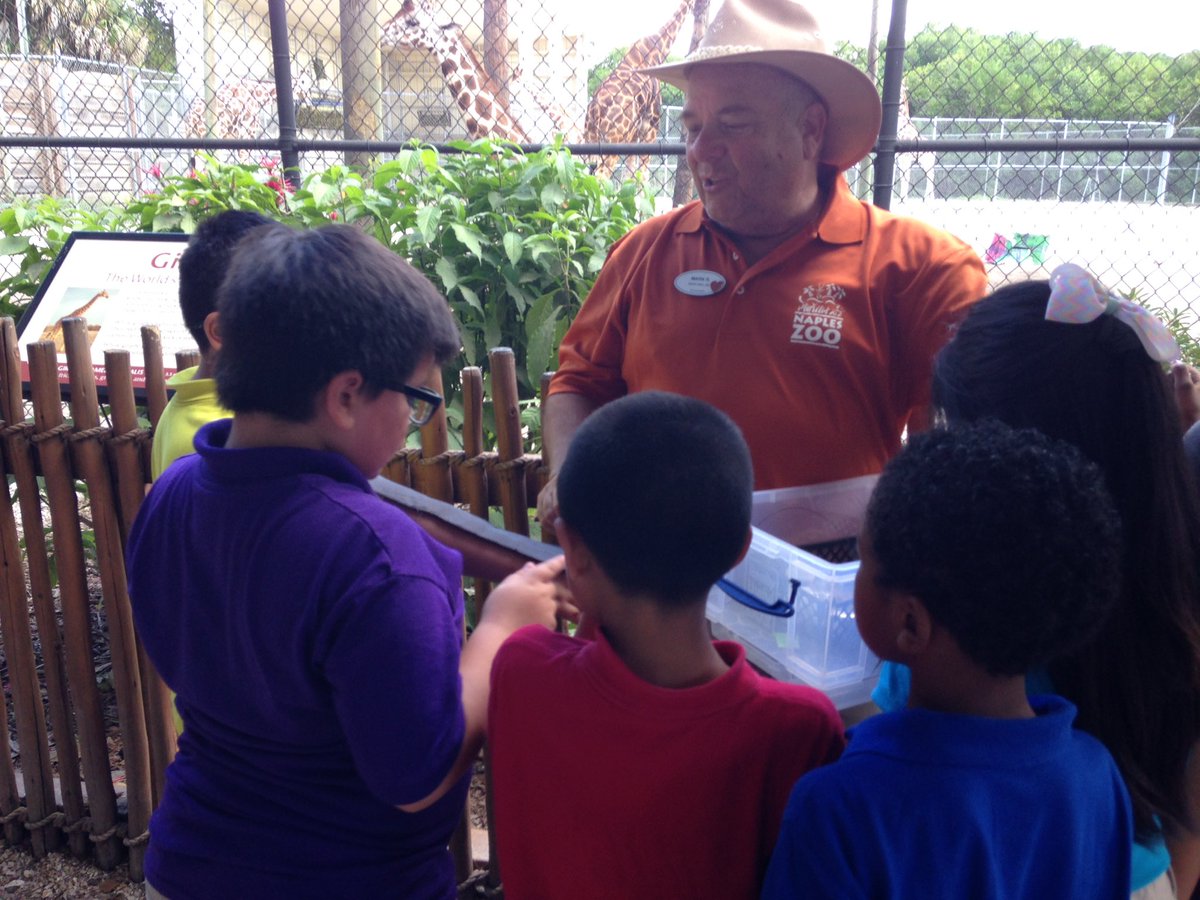 MsMeehan2000's tweet photo. Learning some fun facts about giraffes! @VOEPanthers #ccpssuccess #ccpssteam #CollierScience #napleszoo https://t.co/sgEXeRYX5O