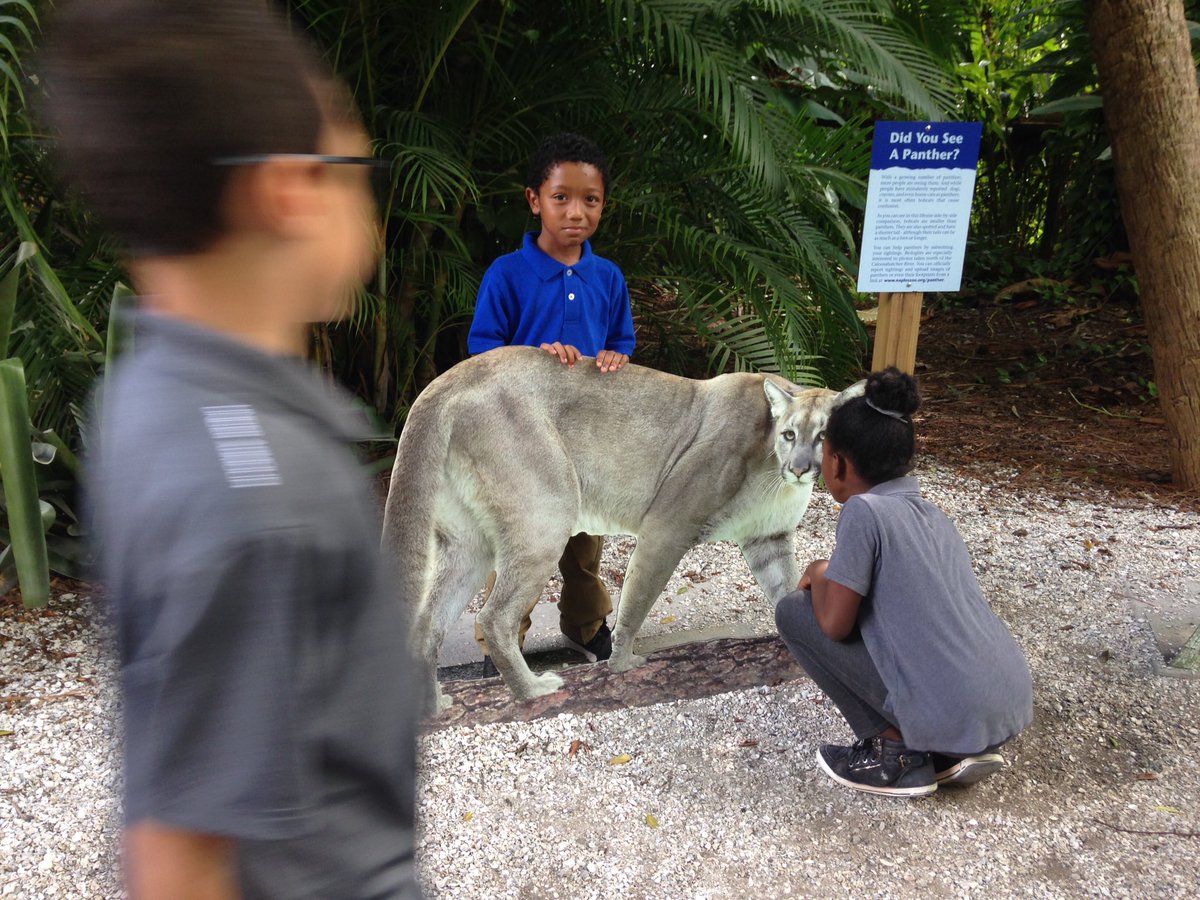 MsMeehan2000's tweet photo. Checking some things out! @VOEPanthers #CollierScience #napleszoo #ccpssteam #ccpssuccess https://t.co/encv3fFWeP