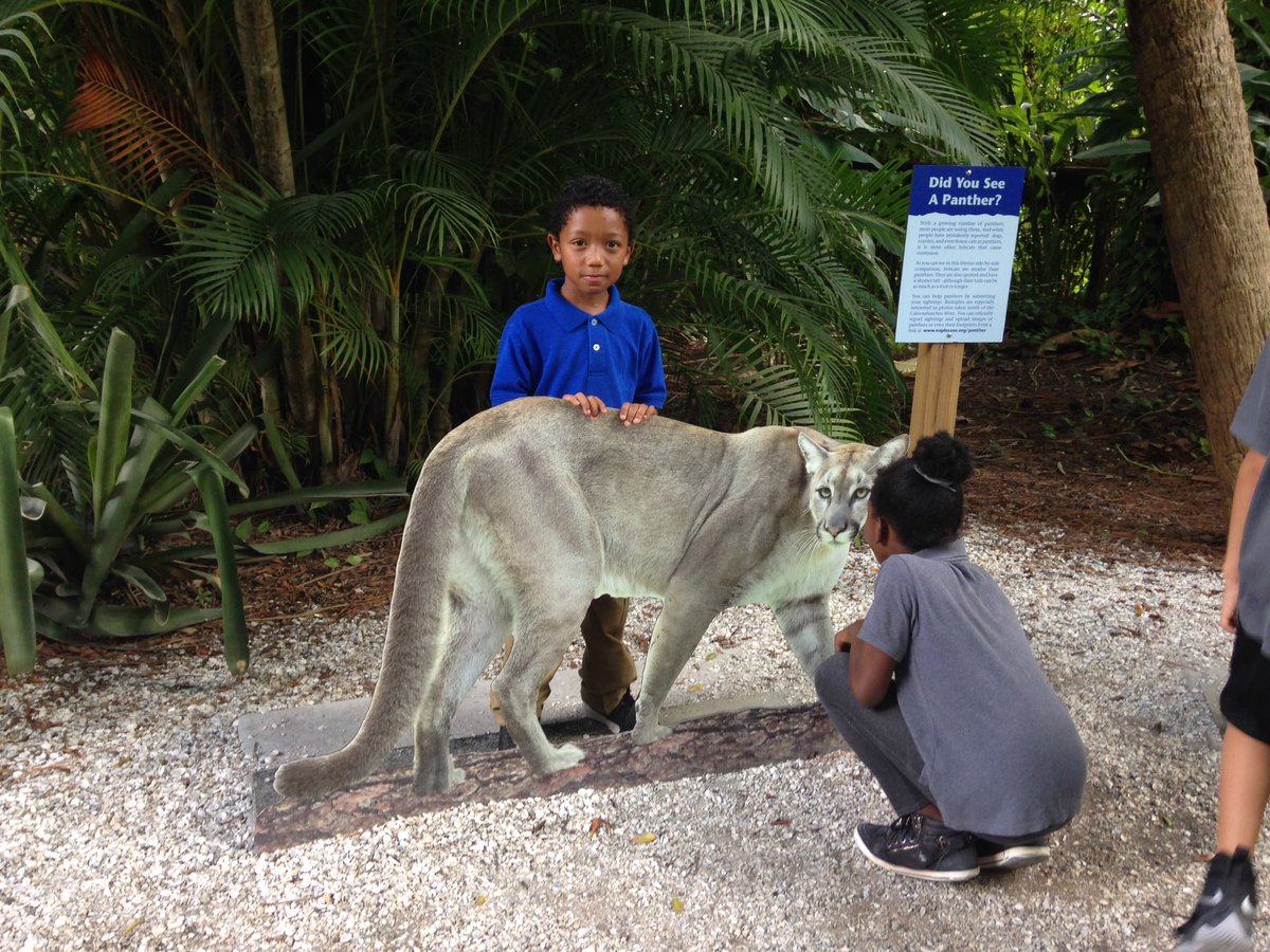 MsMeehan2000's tweet photo. Checking some things out! @VOEPanthers #CollierScience #napleszoo #ccpssteam #ccpssuccess https://t.co/encv3fFWeP