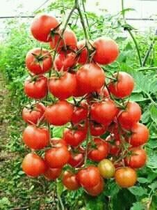 shrawandas1431 tweet picture