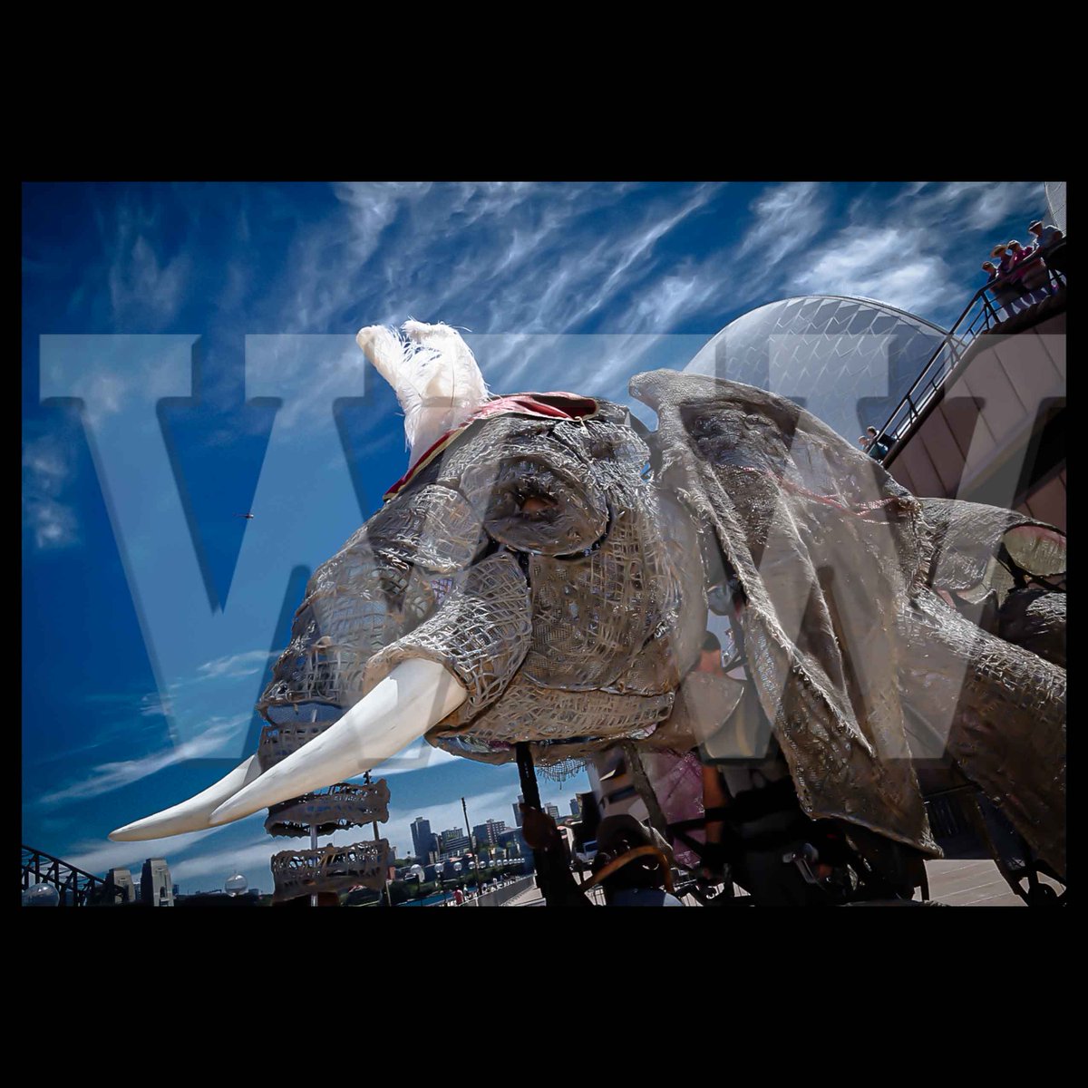 thinkingmedia's tweet photo. Elephant Parade to kick off @Circus1903 at @SydOperaHouse More Pics here https://t.co/a409TZMZKN #Circus1903 https://t.co/NWykqA6PYc