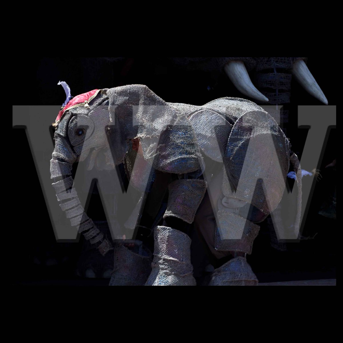 thinkingmedia's tweet photo. Elephant Parade to kick off @Circus1903 at @SydOperaHouse More Pics here https://t.co/a409TZMZKN #Circus1903 https://t.co/NWykqA6PYc