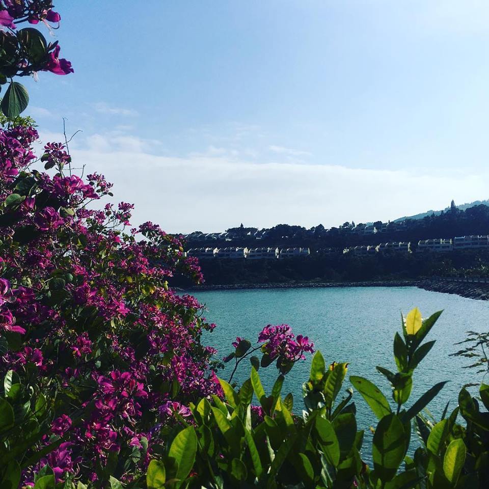 aroundDB's tweet photo. What a beautiful morning to welcome in the last Friday of the year. Lovely snap by @marsc1 on Instagram. Tag your shots with #arounddb! https://t.co/aMCnNEp6dE
