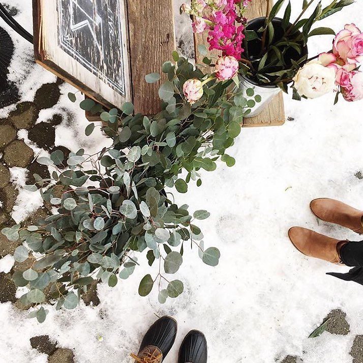 GlitterGuide's tweet photo. Flowers never fail to brighten your day 🌺❄️✨ #ggholiday by @ashley_m_spence https://t.co/iI8uQyqQWn https://t.co/JoEIBEFhSt