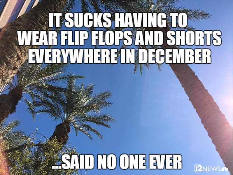 curtandnan's tweet photo. @evangie @CaliAzona @patsymacgyver @GingerGander @smidgean @Healthy_Noww https://t.co/36L27TOXCv