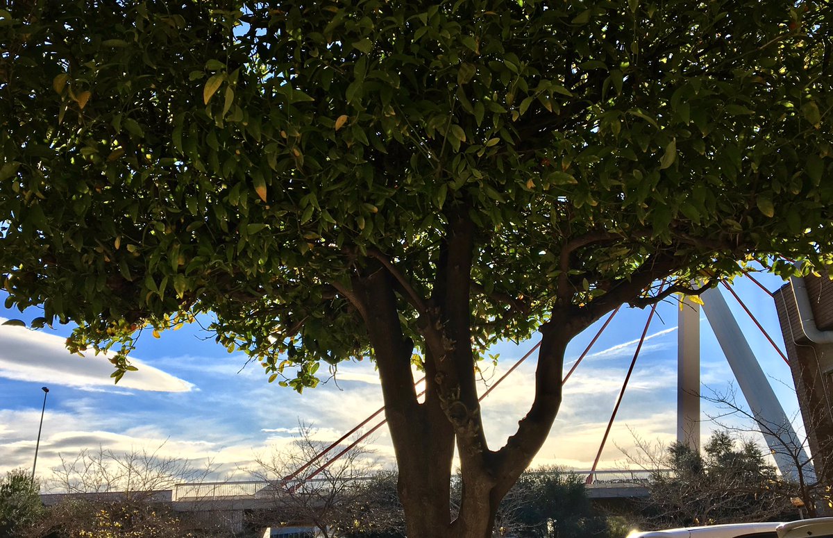 Hoy solazo en los #PremiosCeei 5 finalistas Creación de Empresa: @CASFID_ES <a href="/cuidum/">@cuidum</a> <a href="/ExosSolutions/">Exos Solutions</a> <a href="/LaurentiaTech/">Laurentia Tech</a> <a href="/TyrisSoftware/">Tyris Software</a> ¡Suerte!