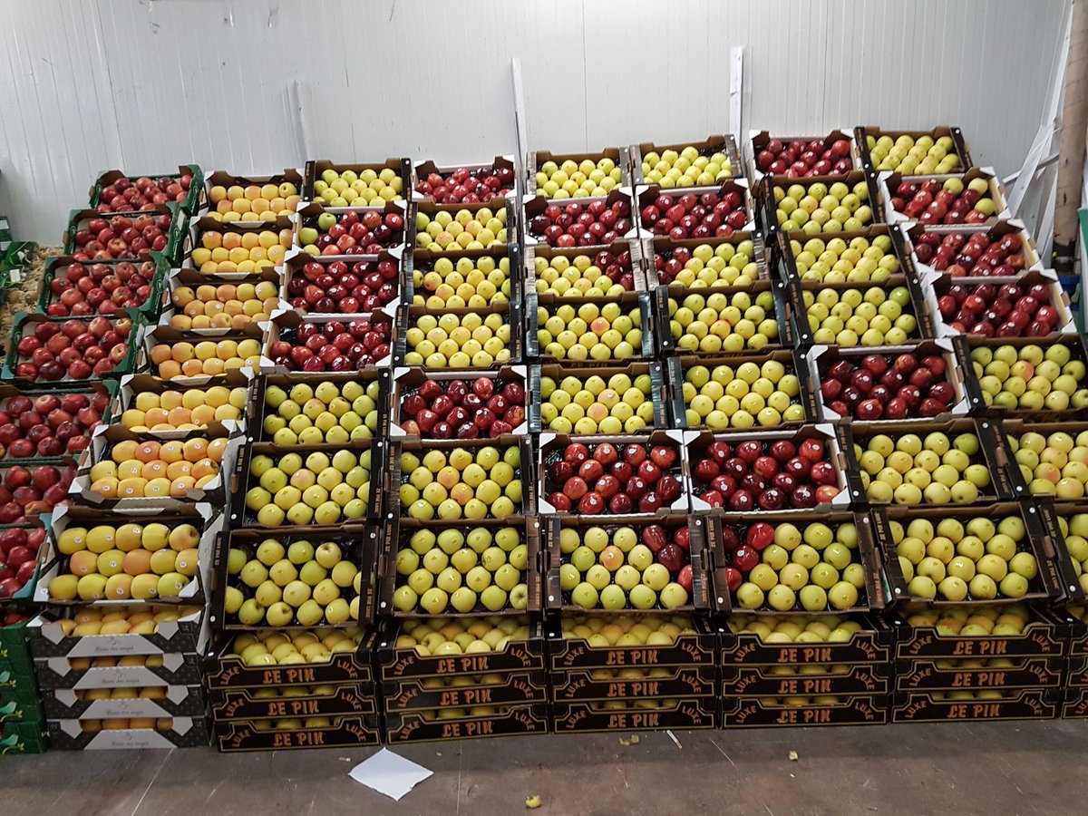 S@MY.SCARDIGLI (@scardigli_) on Twitter photo 