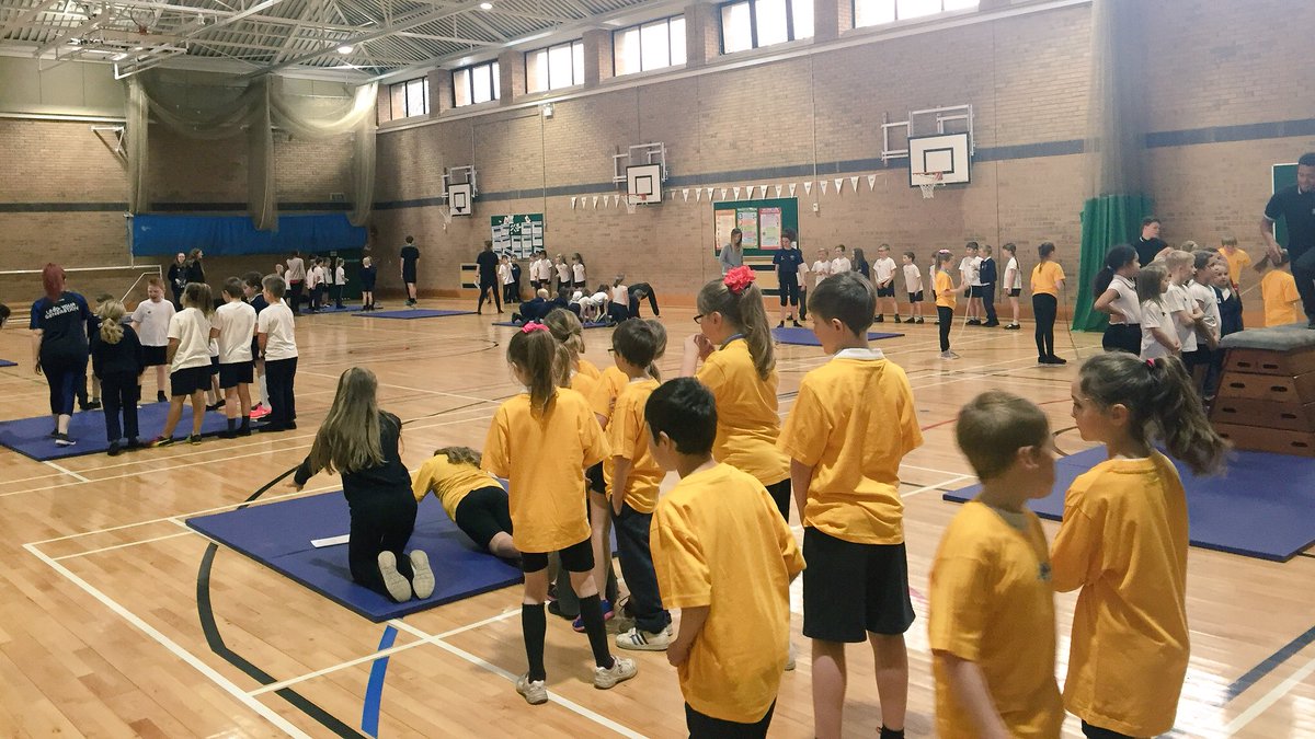 ShapeLearning's tweet photo. Our key steps gymnastics were a huge hit with primary schools this year! Was your school involved? #activechesterfield https://t.co/yrfjgzAoUe