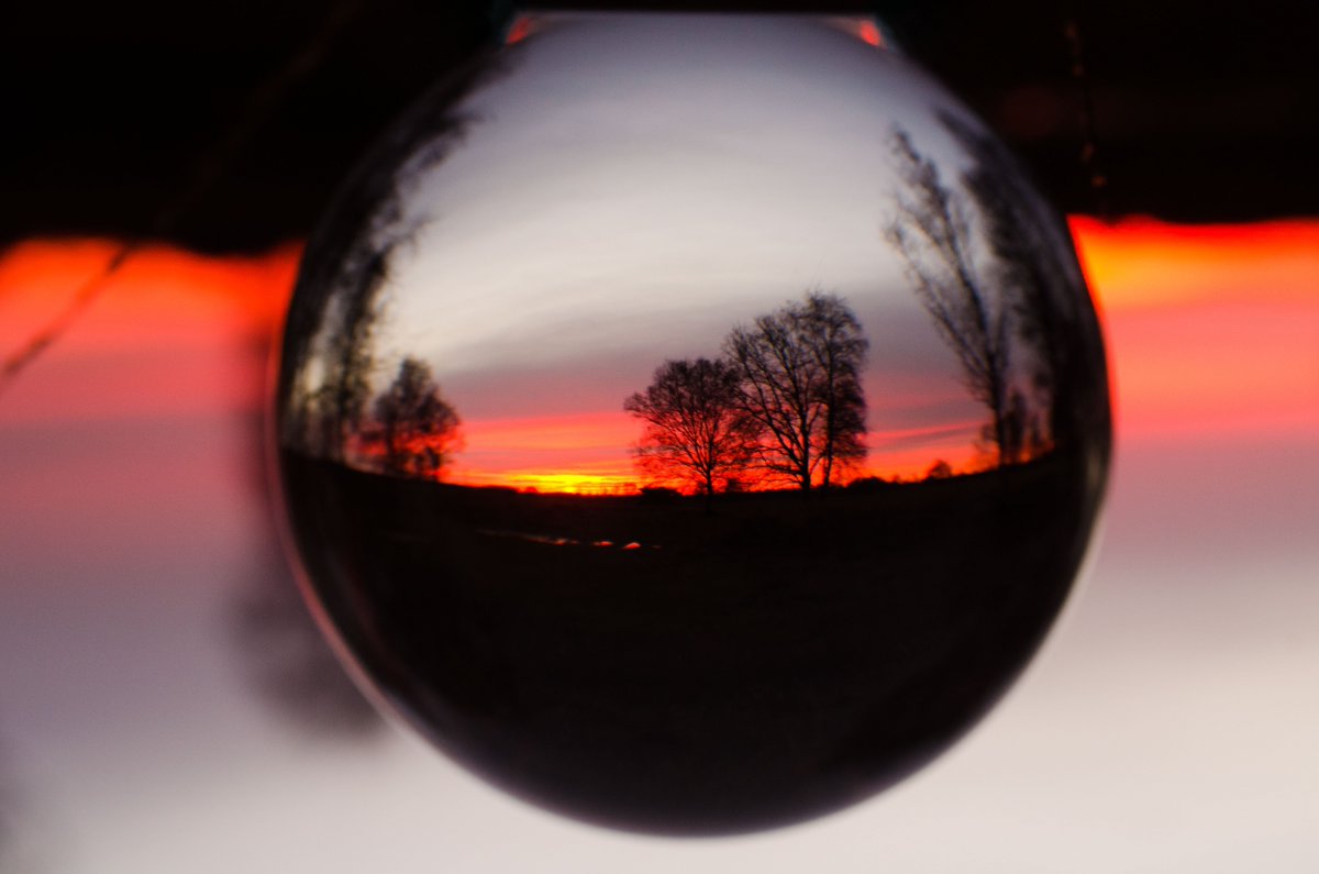 Het Wierdense Veld is vandaag het decor van Mooi Overijssel. De natuur van deze plek legt Susan Elbert graag vast met haar camera. Prachtig!