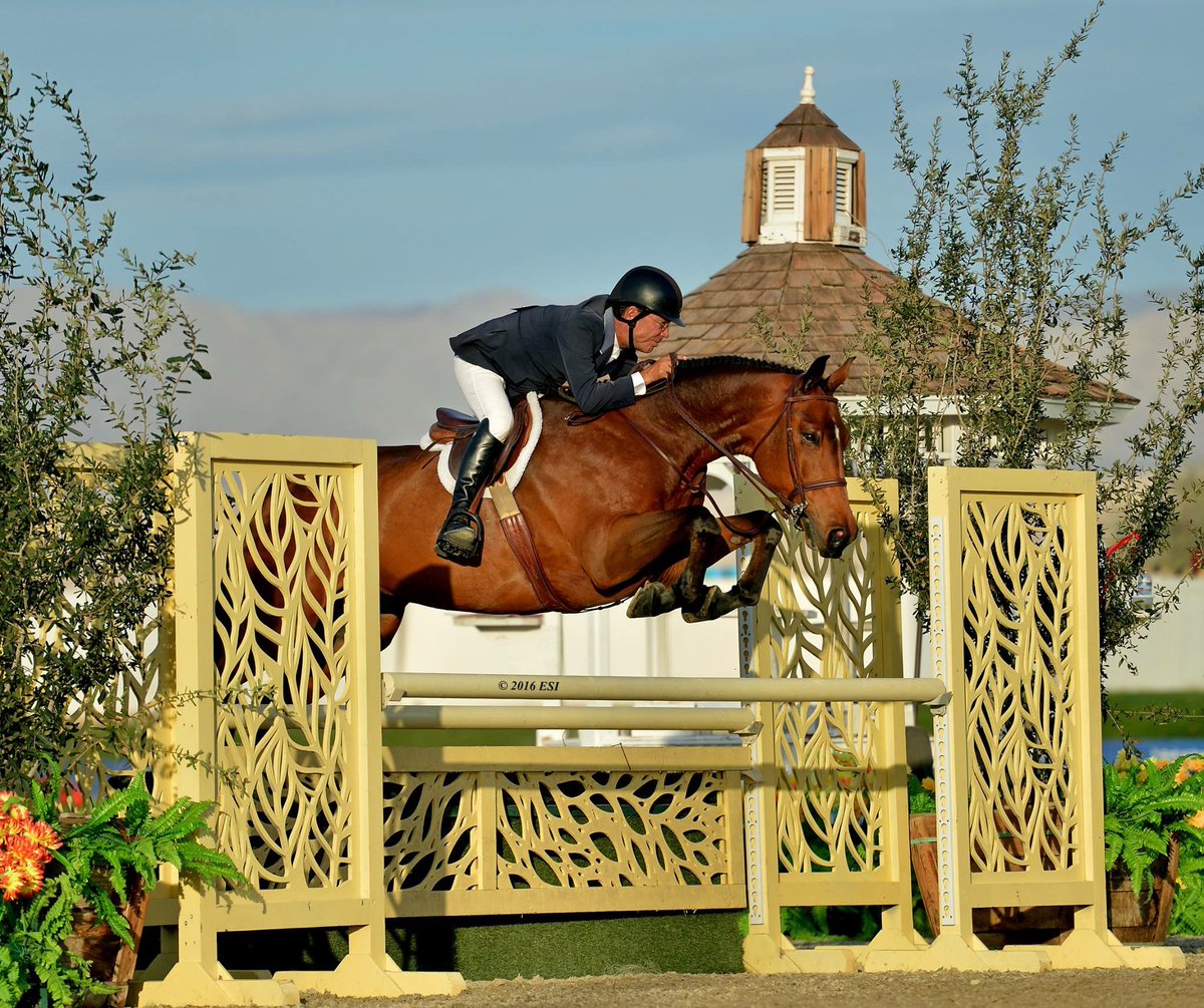 John French is Riding Into a New Chapter <a href="/TempletonFarms/">Templeton Farms</a>: 
icontact-archive.com/8w9pKg2WvQ1PYV…