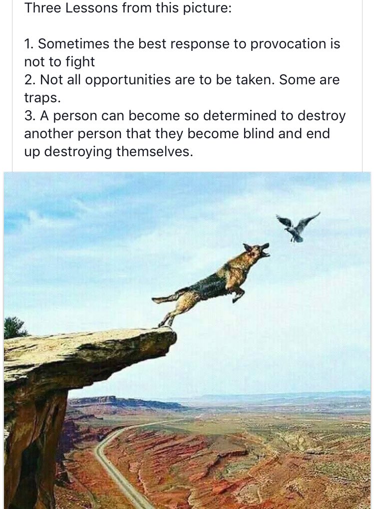 LexiV_me's tweet photo. #facts https://t.co/9ypnCSEIeQ