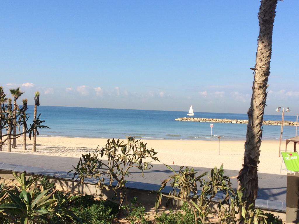SheratonTelAviv's tweet photo. After a cloudy day, today the sun finally came out! Good day Tel Aviv! #sheratontelaviv #spglife #telaviv #gordonbeach https://t.co/dfXd2ksdUF