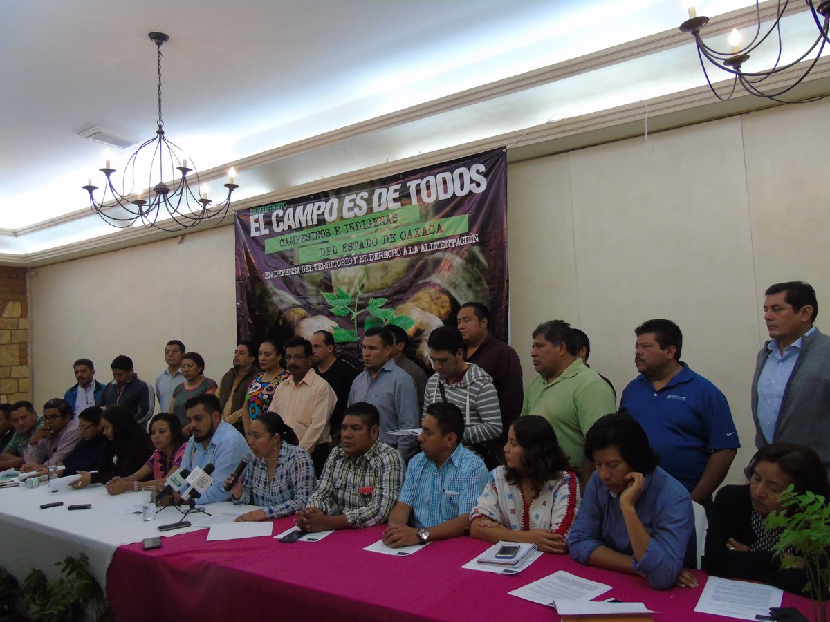 OaxacaesNoticia tweet picture