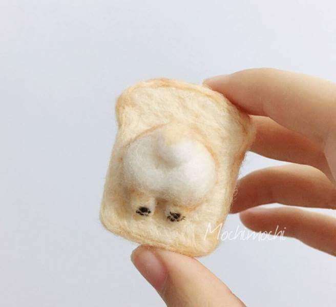 어디서 줍줍한건데.. 출처몰름 #시바견 #심쿵하다