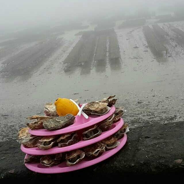 Piffarelly tweet media