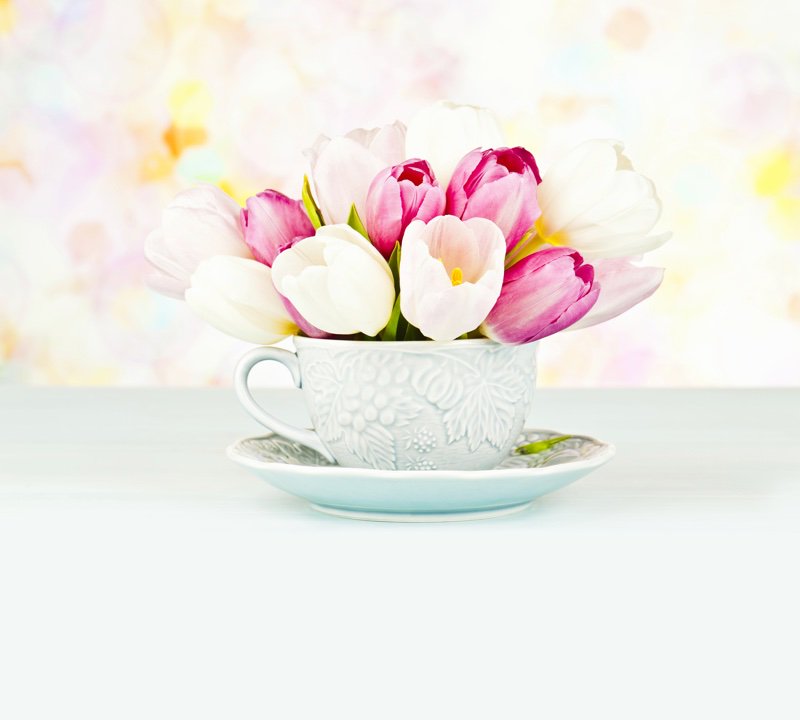 Fragrance_Dyn's tweet photo. Exploring the relationship between taste and scent https://t.co/S8GfJENW3q @cb_beautynews #beautynews #fragrancenews https://t.co/7n2OfAhkUf