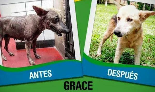 Amazing Grace! @AmazonCARES wants to continue our work! mo.nu/4cvT?uid=4mbC Can you spare $10? Please help!