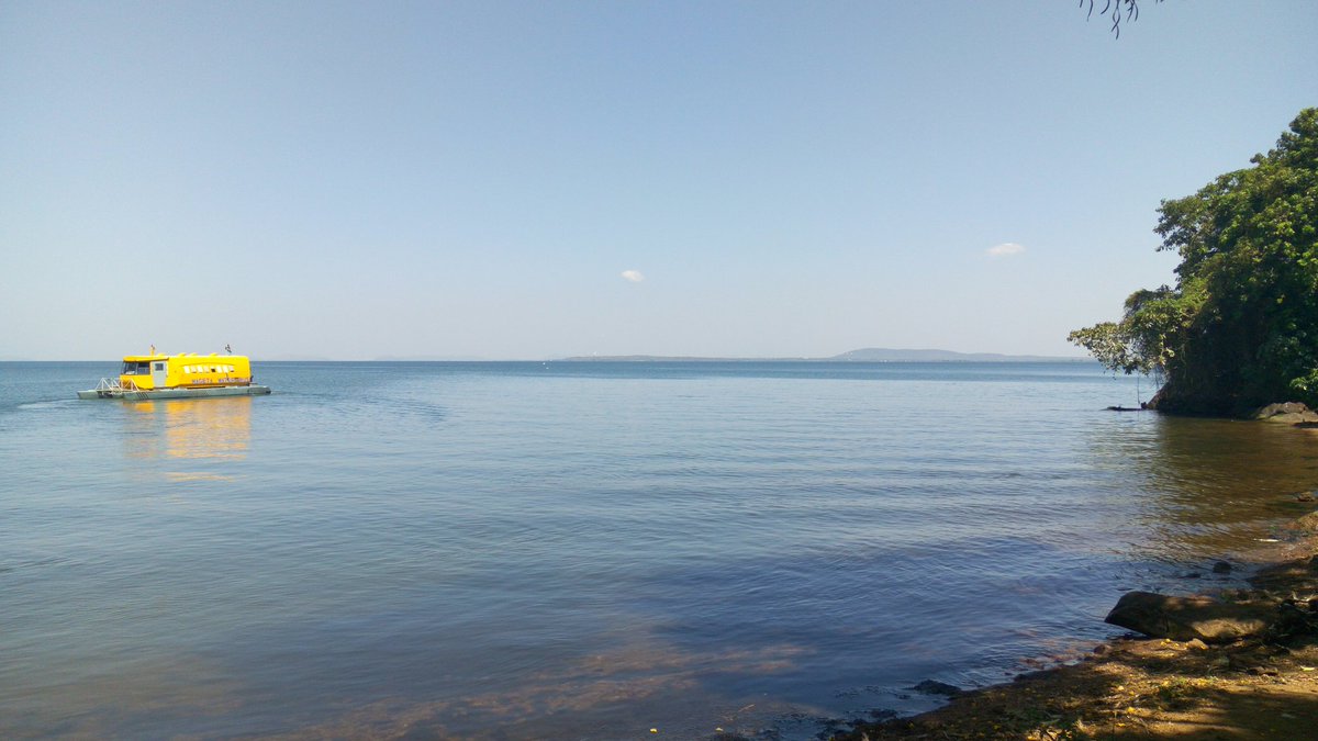 RabiesFreeKenya tweet media