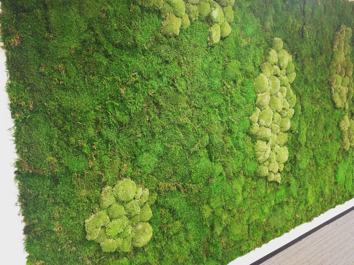 WierdaDesign's tweet image. De eerste meters verticaal groen zitten erin #Assen #interieurontwerp #officespaces i.o.v. @Interoffice_nl