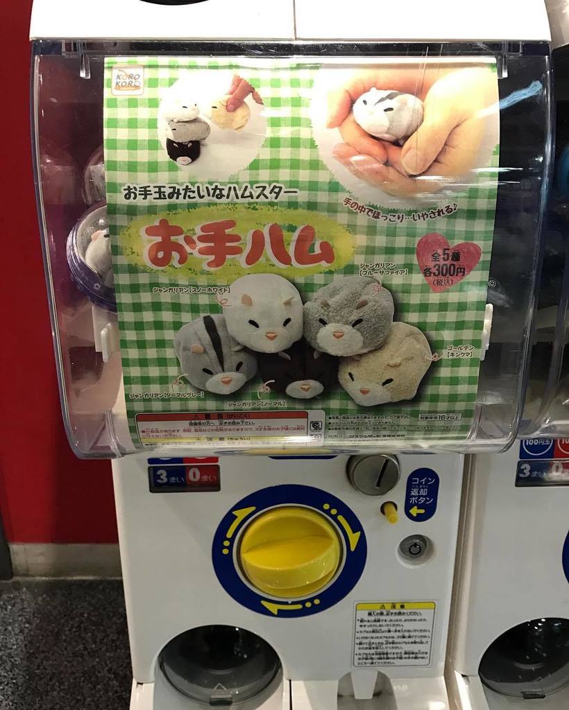 Rhonda Cox Mini Plush Hamster Capsule Station Hamster Capsulestation Gachapon Ikebukuro 池袋 東京 日本 Japan Japanese Tr