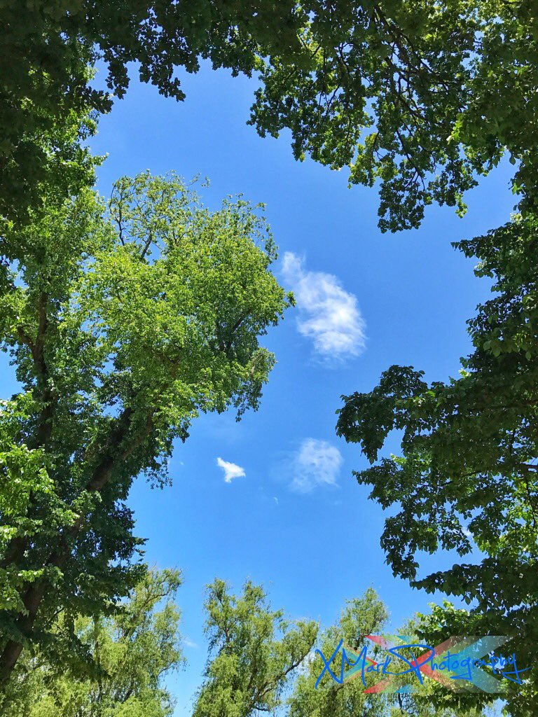 xmarkphotos's tweet photo. Nature presents many wonders when you take the time to look 😀#photography #nature #XMarkPhoto 😉📸😉 https://t.co/zPXBqo0sQB