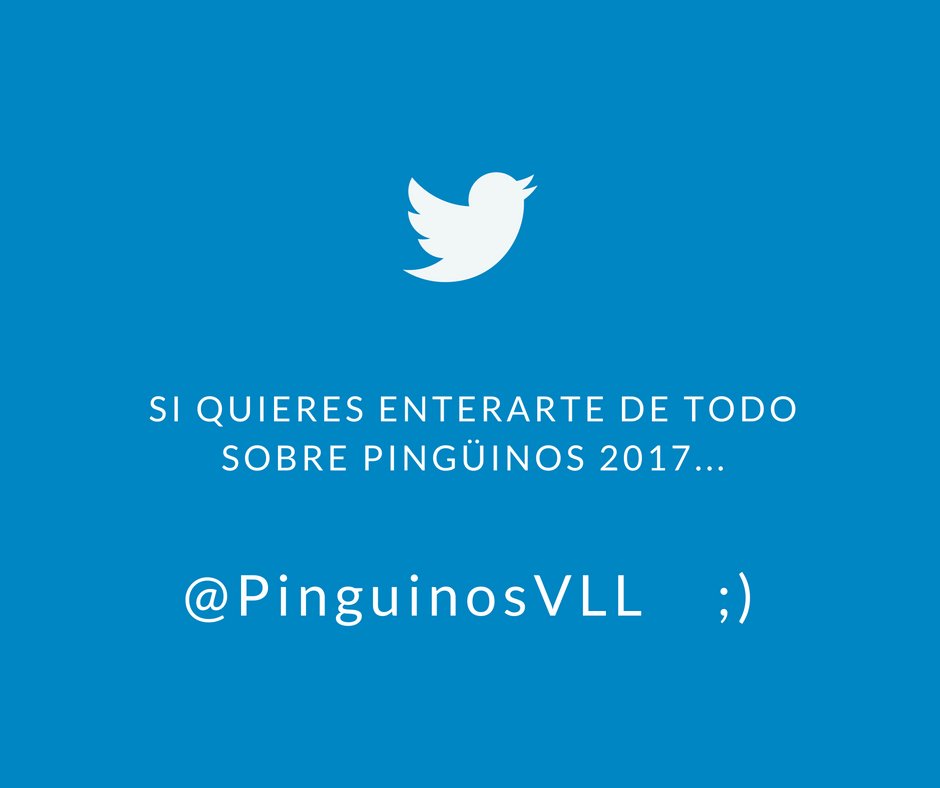 fiestamotoVLL's tweet photo. Hay un perfil que no te puedes perder para enterarte de todo sobre #Pingüinos2017, que se celebrará del 12 al 15 de enero en #Valladolid https://t.co/aFbvDTECbg