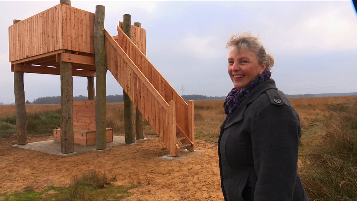 Ze komt er dagelijks, maar de weidsheid en stilte van het Wierdense Veld blijven Jolanda Elbert verbazen. Video: bit.ly/2ib8S3i.