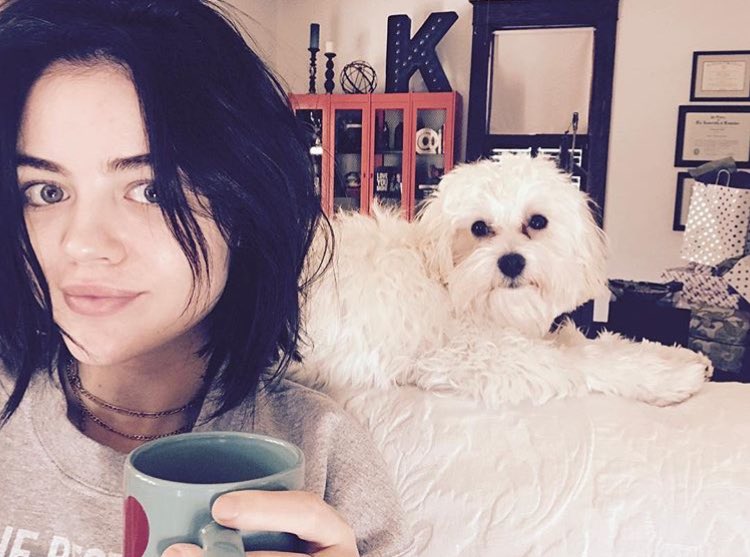 The best thing in the photo is the sweater. #ezriaisendgame <a href="/lucyhale/">Lucy Hale</a> <a href="/IANMHARDING/">georgia</a>