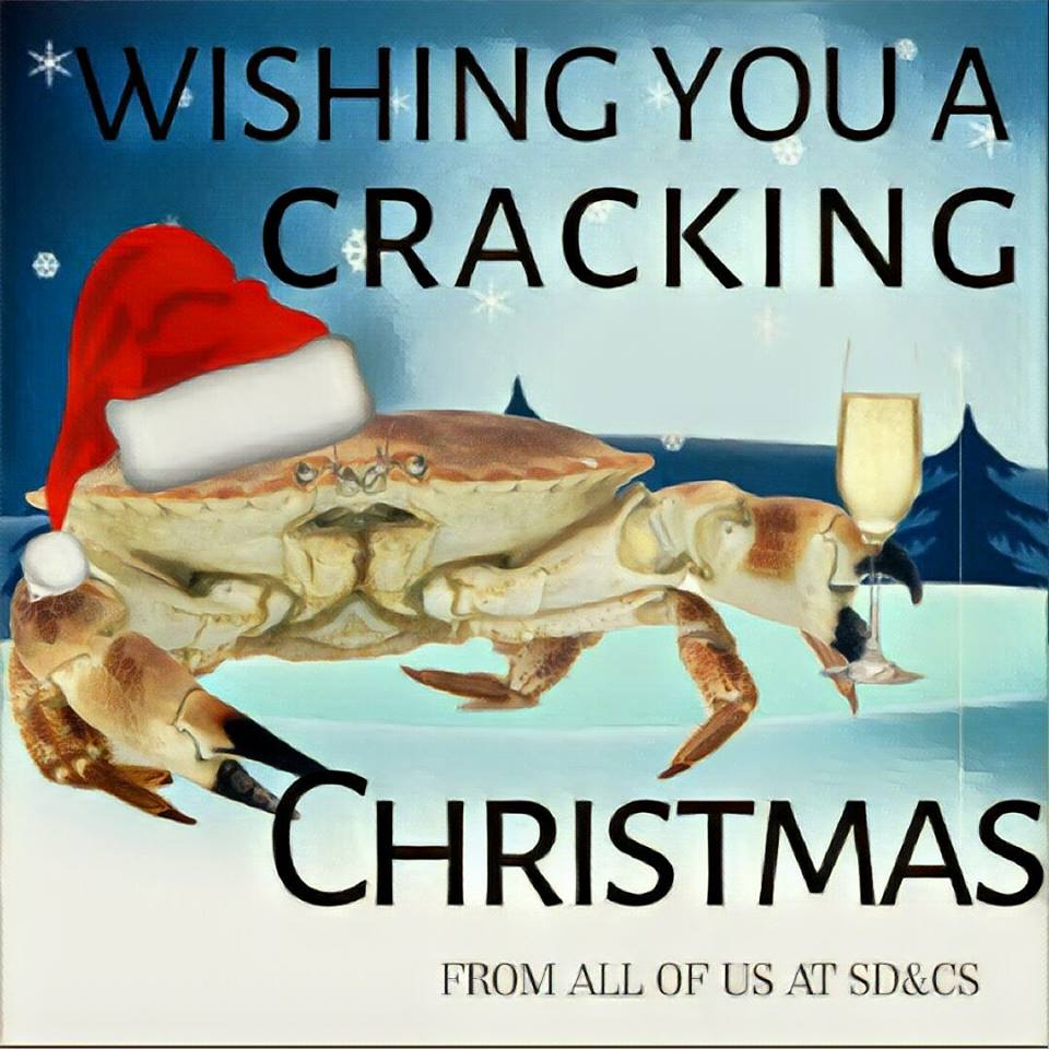 shellfishermen_'s tweet photo. Merry Christmas to all our friends & followers!
#Eatshellfish #SouthDevonCrab #Eatmorefish #EatLocal #SupportYourLocalFellet #Devon https://t.co/zk6SPku3zr