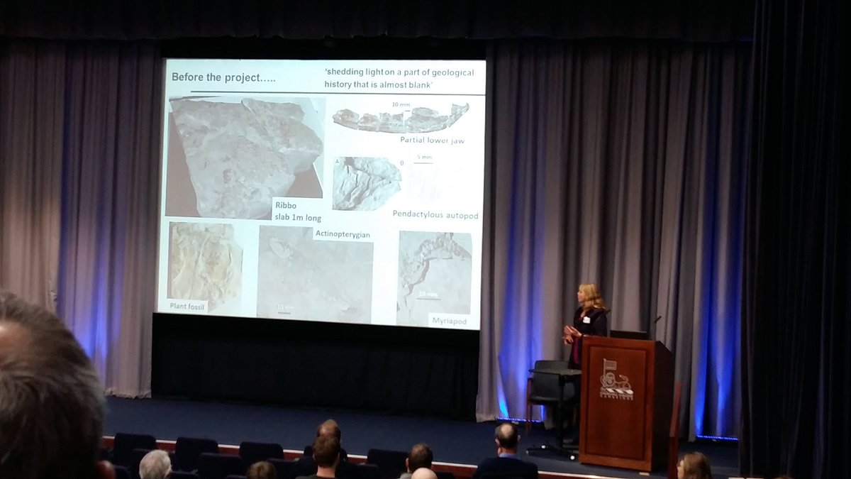 TetrapodWorld's tweet photo. Sarah Davies at #BSRG16 talking about the #tetrapod world environments @GeologyLeics https://t.co/wdisWlIyum