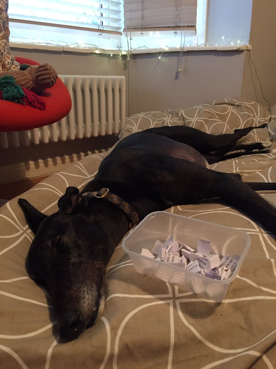 GreyhoundGap's tweet photo. We're about to draw the winners of our calendar competition. As you can see, Walt is taking his adjudicator duties very seriously. https://t.co/F9z9CFwiHj