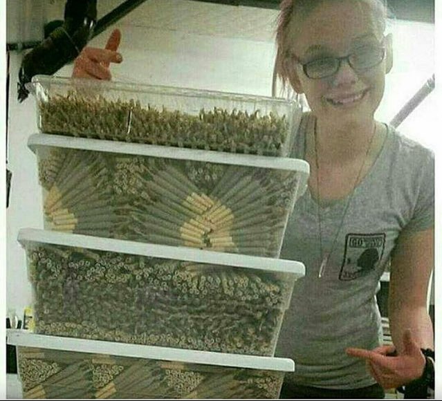 Weed_10g's tweet photo. How I prepare for a party https://t.co/HTdk5xN9XS