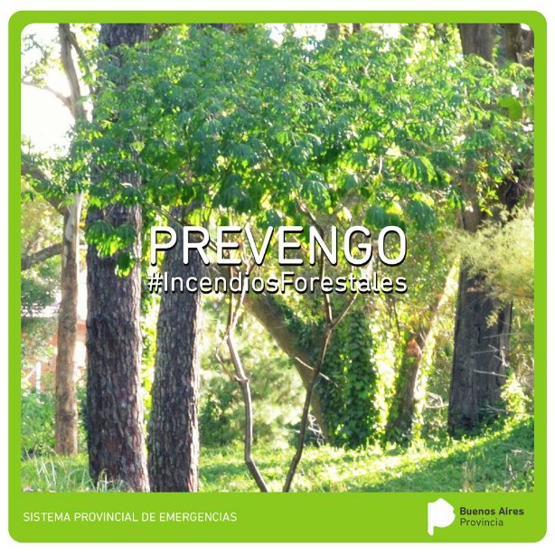 defensacivilpba's tweet photo. #Prevengo Cuando enciendas un fogón, hacelo sólo en zonas permitidas para tal fin. Definí lugar alejado de árboles, hojas secas, pastizales https://t.co/N4upqDxrwG