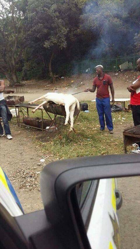 smathibela_'s tweet photo. I'm lazy vandag and nkare go nale Budhas braai somewhere mo kasi @Paballo_Budha https://t.co/ppyLIl3fhU
