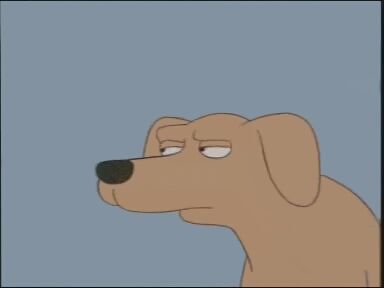 CanuckSyko's tweet image. My dog giving me the evil eye as I'm 24/7 coughing.
#dogchill.