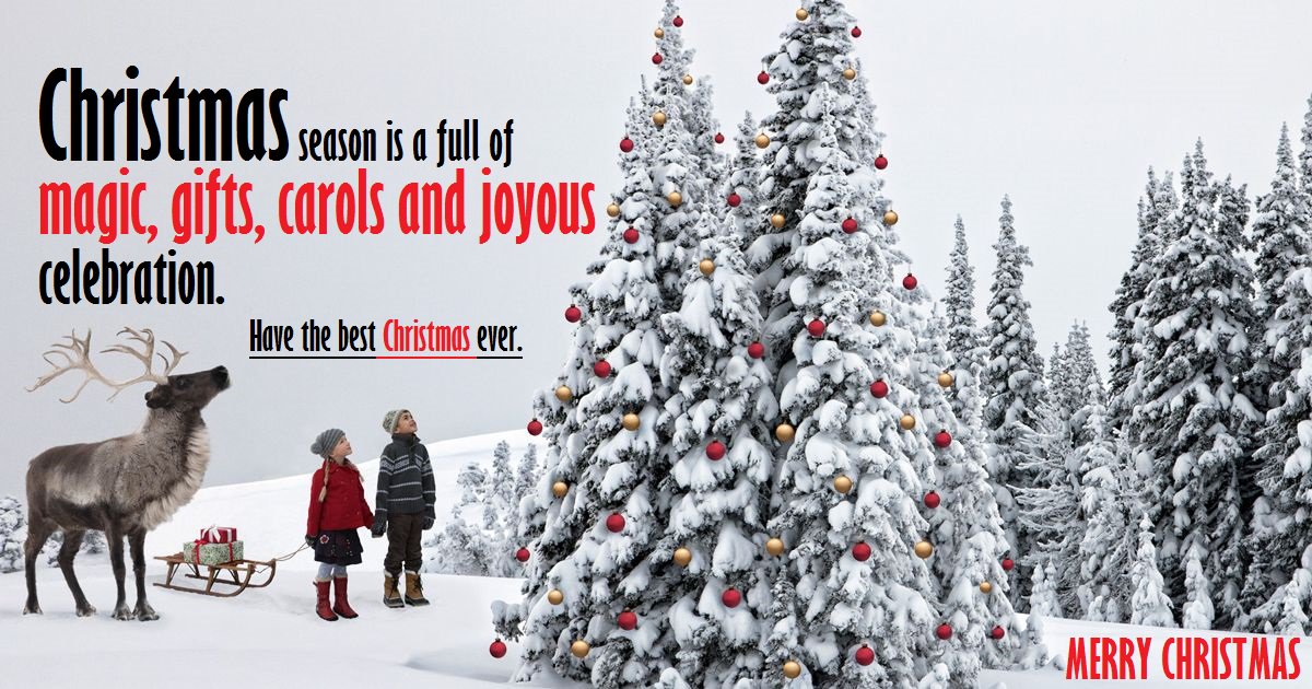 loanstillca's tweet photo. #merrychristmas get cash 24/7 in bank account - go online and apply - https://t.co/hbGXkz7QjY https://t.co/04VY4COQC2