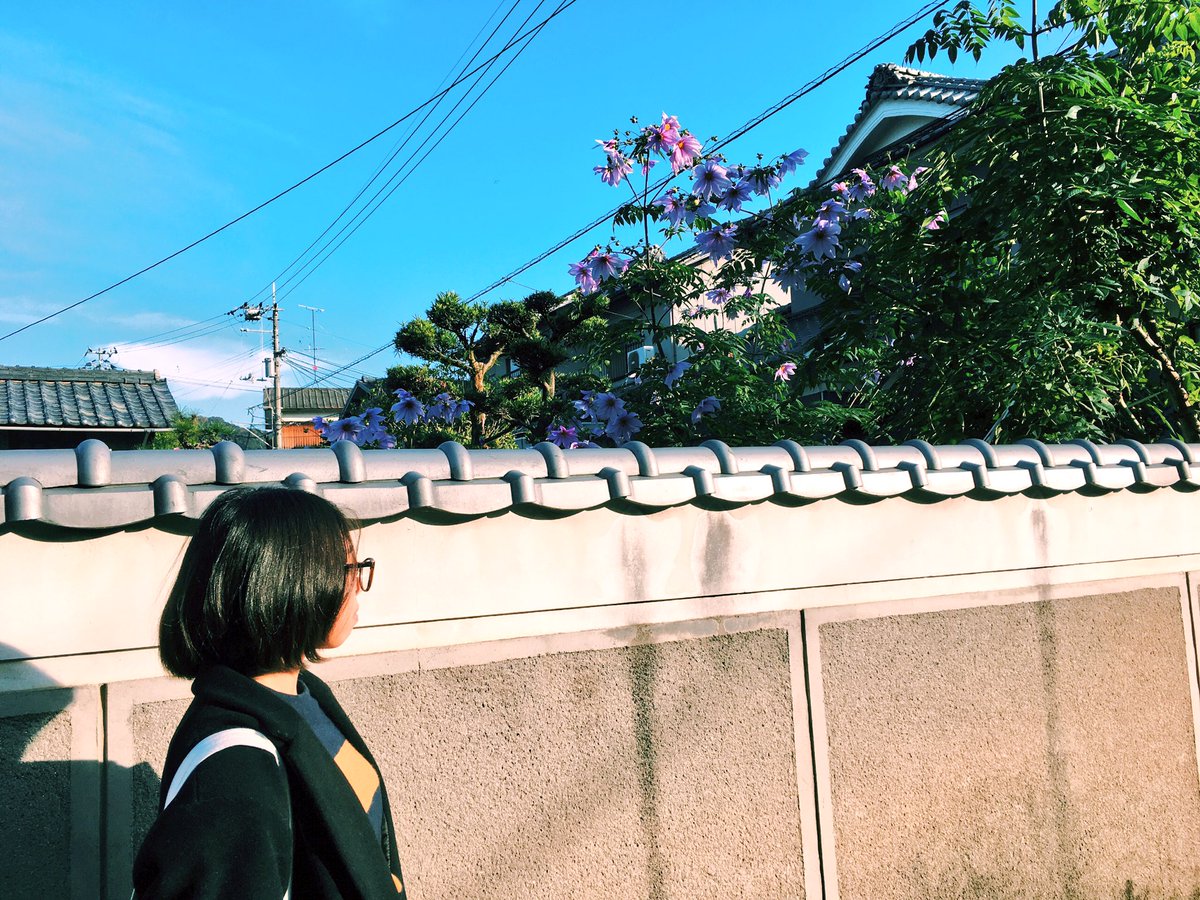 aoharu0820's tweet photo. 今まで撮ってきた中でお気に入りの写真たち。特別なものよりも、日常を切り撮るのが、好きです♩ 心に留まる瞬間がある日常って、幸せ。☀︎
#myfilms https://t.co/qEd3T1lIHg