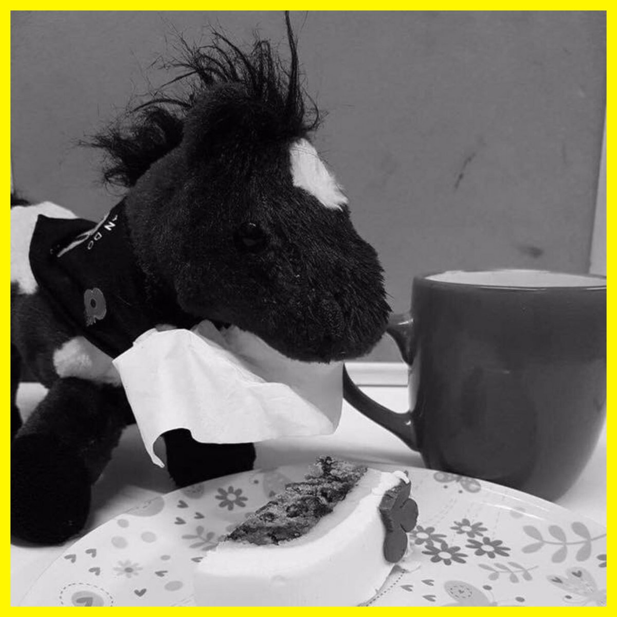 Day 20 - Advent Photo: <a href="/RDANomad/">Nomad</a> getting so excited for his #Christmas this year after tasting the cake after busy weeks at <a href="/RDAWenlo/">Wenlo RDA</a> 🐴🎅🏻✨🍰🎄