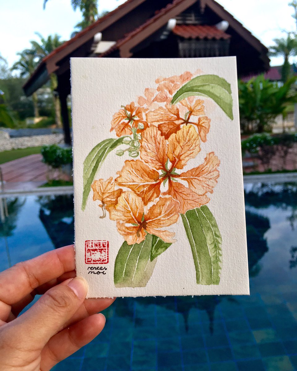 A4 potong 4
<a href="/twt_seni/">twt_seni |</a> <a href="/daengerzuan/">رضوان</a> #watercolor #bungapagar #reneemoi