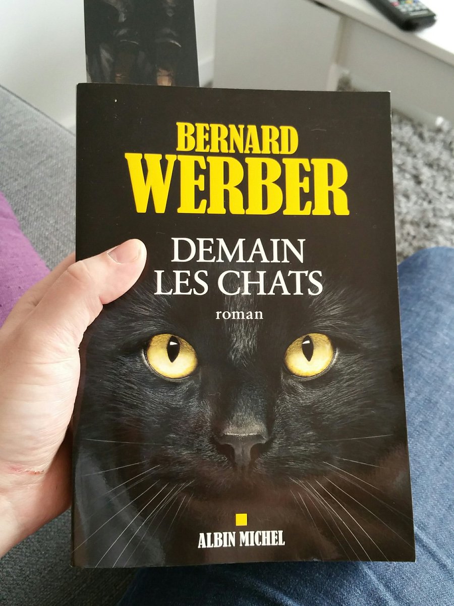 zeus59300's tweet photo. Voyons voir ce que ça donne ;) #werbernard https://t.co/dutz52BQ1g