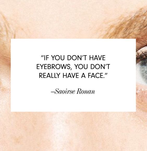 HiImpactBrows's tweet photo. Truer words have never been spoken! #browsareeverything https://t.co/FGm7YpHXXY