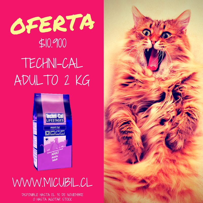 ¡La cara de este #gato lo dice todo! Techni-Cal Adulto de 2 Kg está en #oferta a 10.900: bit.ly/TCat_Adult