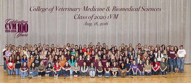 tamuvetmed's tweet photo. Aug. 2016: #CVM100 continued with the 100th class of new DVM students starting in the new VBEC. #2016inReview #TAMU https://t.co/KT0s41RMSl
