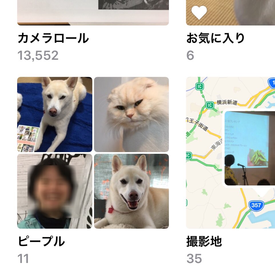 日本野虫の会 2 5いきものフェス わたくしのiphoneの写真 アルバム の中ではなぜか めっちゃ笑顔の学長がうちの犬猫と同じ場所にカテゴライズされている ピープル T Co Rmbutdvmpl Twitter