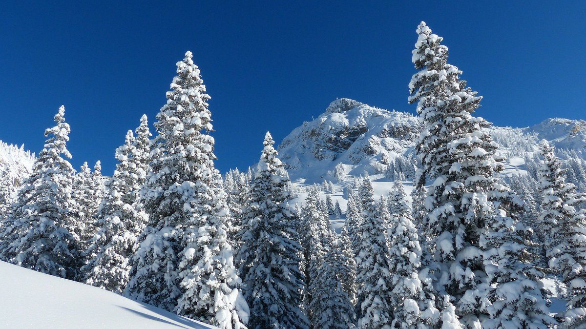Make sure you check our holiday telephone hours if you're planning to call to arrange your next break: news.adagio.co.uk/news/festive-s…