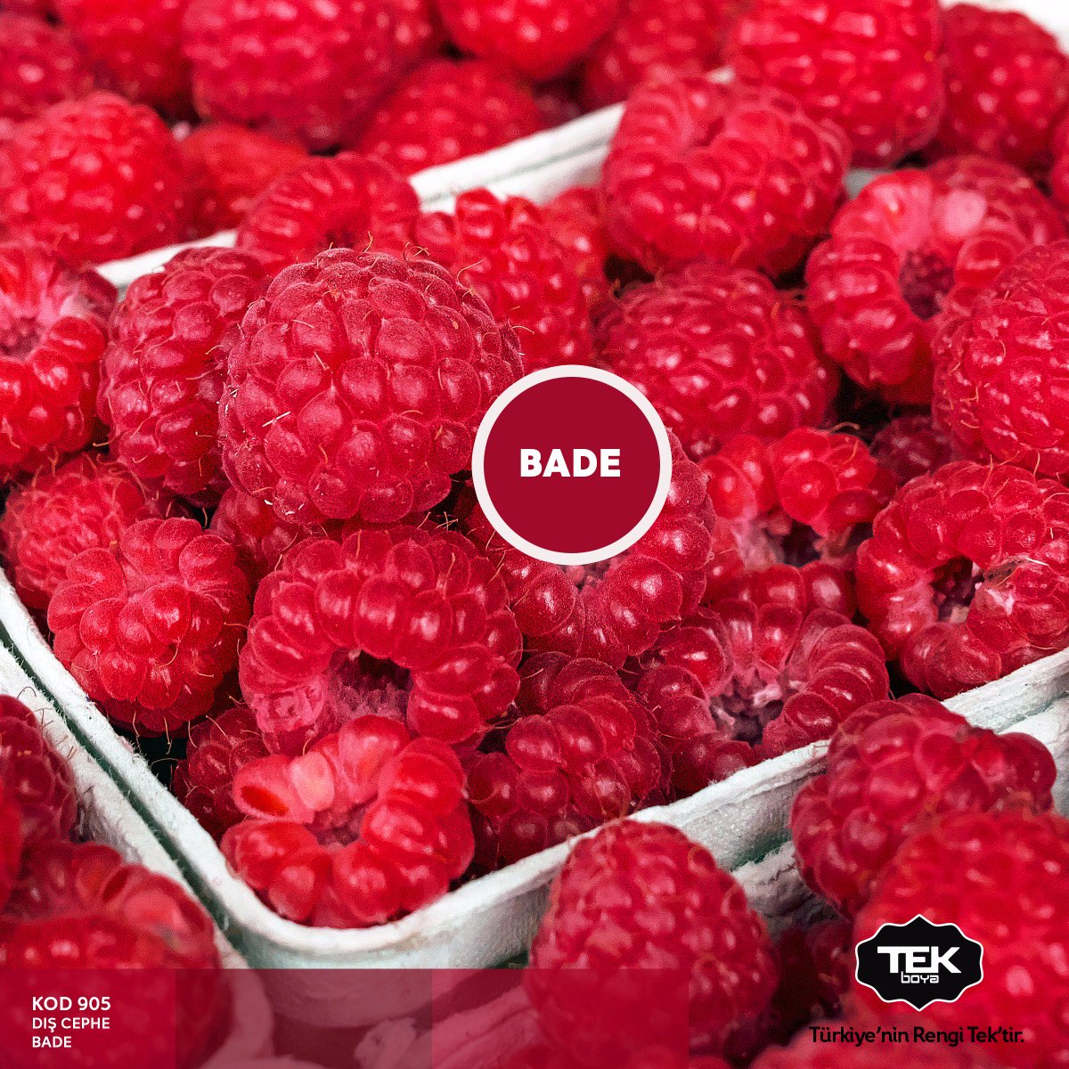 Kırmızı tonlarının büyüsünü keşfedin...#tekboya #bade #interior #exterior #paint