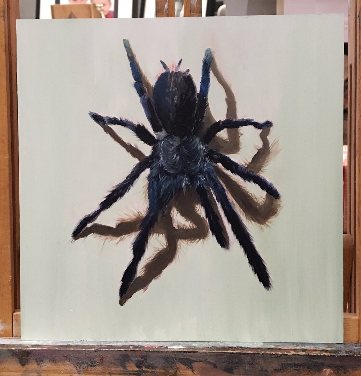 mahon_james's tweet photo. Last nights progress......
#spider #spiderart #arachnid #oilpainting #rosemarybrushes #parallelpalette #wildlife #preston #lancashire https://t.co/uBgKzcVgri